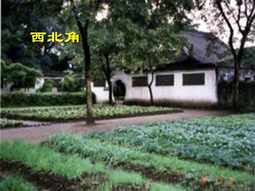 从百草园到三味书屋